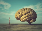 Scientists discover protein that turns young brains old