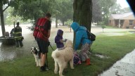 Wauwatosa family, dogs and goldfish rescued from flooded home