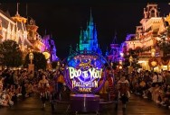 Principales actividades para hacer en Tampa Bay esta semana: Dog Swim Day, Gabriel Iglesias, Monster Jam
