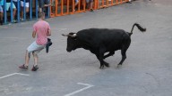 El PPCV defiende los festejos taurinos como un recurso turístico que genera riqueza