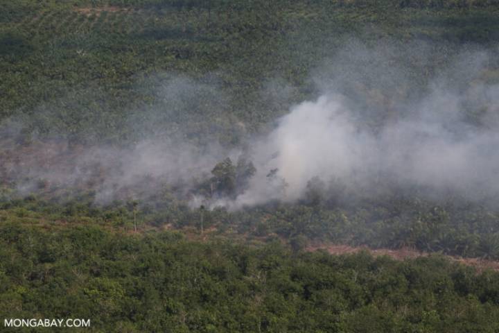NASA satellites show surge in Indonesia hotspots as 2025 fires send smoke to Malaysia
