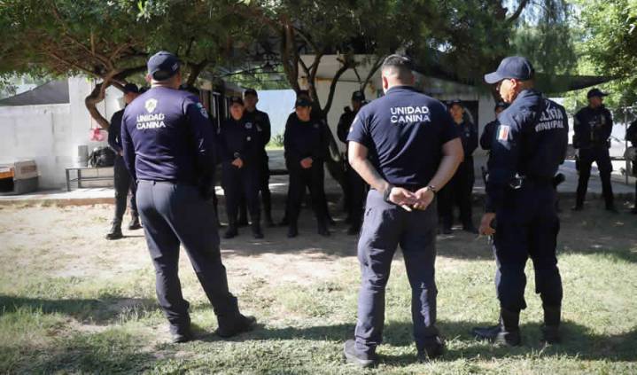 Busca Grupo K-9 de la Policía Municipal Certificación en Función Policial y Detección de Olores