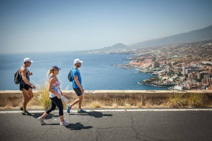 Ruta de peregrinación a Candelaria: recorrido, servicios y prohibiciones