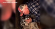 Wyoming man who posed with muzzled wolf in bar charged with animal cruelty