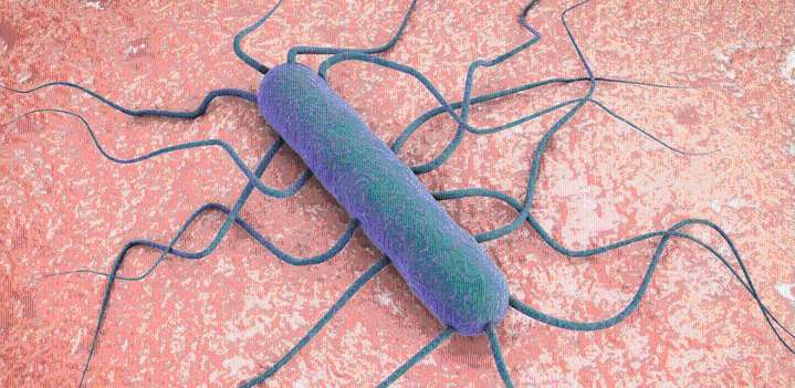 Alerta por un brote de listeriosis a causa del consumo de queso contaminado