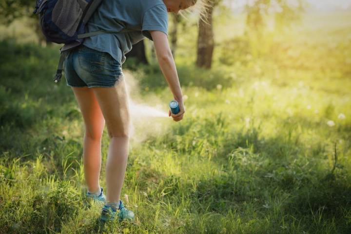 How to avoid mosquito and tick bites in Canada: Expert tips