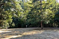 Travels with Charlie: Dog Days of Summer