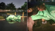 Texas Shelter Team Uncovers A Startling Surprise Beneath A Rain