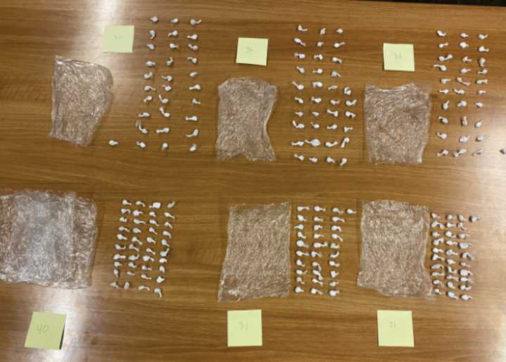 Final man guilty in 'massive' Duluth fentanyl trafficking case