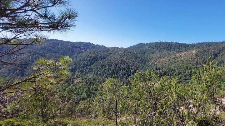 Violencia frena actividades turísticas en el Cerro Mohinora, el más alto de Chihuahua