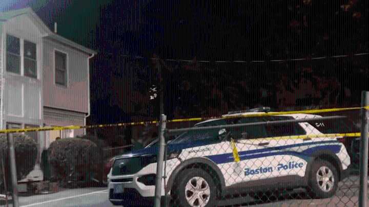 Boston MA dog attack last night in Dorchester