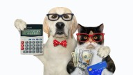 How much does it cost to own a dog or cat?