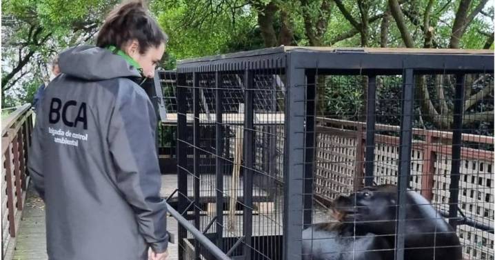 Ambiente participó del traslado de lobos marinos y verificó el estado de delfines en el Aquarium de Mar del Plata