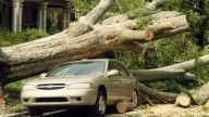 Reflecting on the 2015 August windstorm in Washington