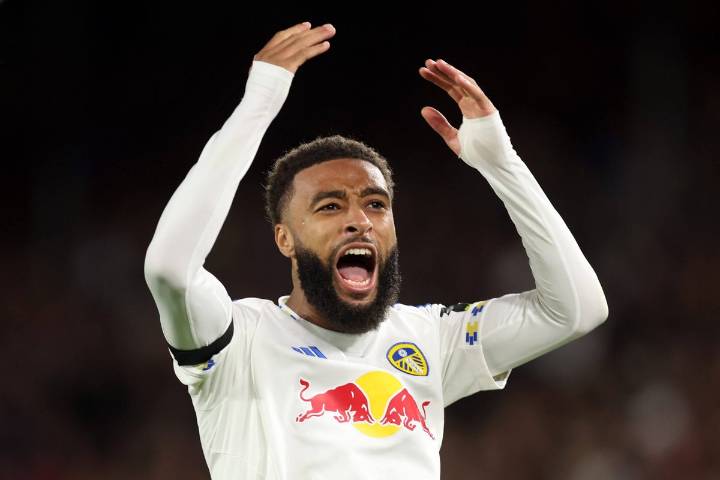 Leeds take heart as last season's core show they belong at Premier League level