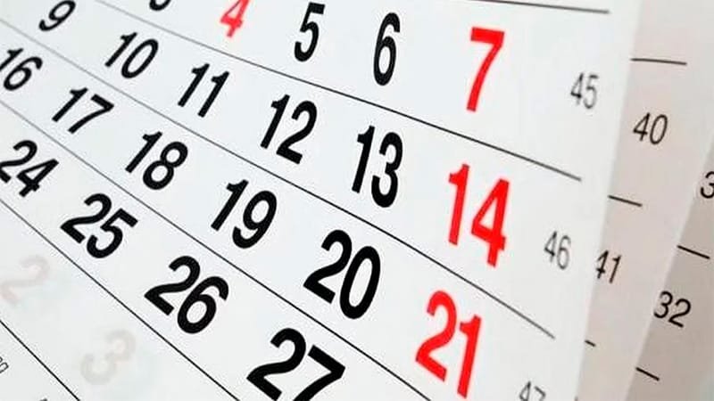 Feriados agosto 2025: qué pasará este viernes 15
