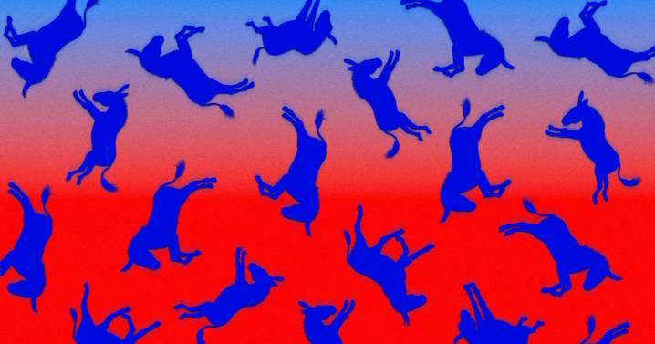 The Political Disaster Hiding in Plain Sight for Democrats