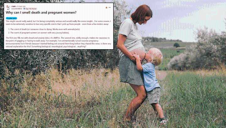 Can You Smell When Someone Is Pregnant?