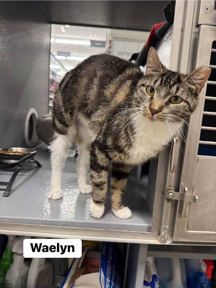 Goodbye, July. Say ‘hello’ to an adoptable pet.  Aug. 9