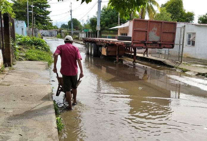 Constantes lluvias amenazan con dañar las cosechas en Zulia