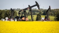 Federal ministers meet with canola lobby to discuss new tariffs from China