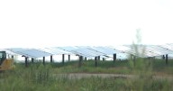 Several solar panels in Henderson County damaged by gunfire