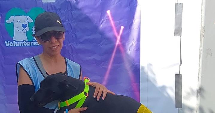 Perros listos para el concierto de Shakira y ser adoptados