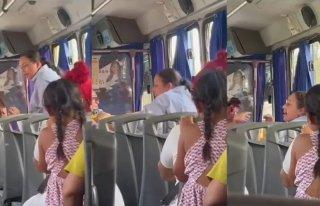 VIDEO: Por no mover bien el abanico se arma zafarrancho arriba de un camión en Bahía de Banderas