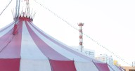 Circus performer injured in front of children during 'Globe of Death' stunt