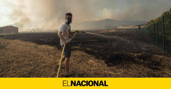La mortalidad real por el humo de incendios podría ser un 93% más alta de lo que se creía, según un estudio