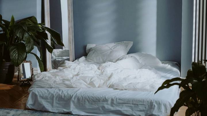 Aprendé a decorar tu dormitorio con estas 9 plantas que purifican el aire y te van a regalar noches de sueño más profundo