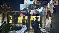 Kitten saved from Cajon Pass fighting lung disease after new home burns down