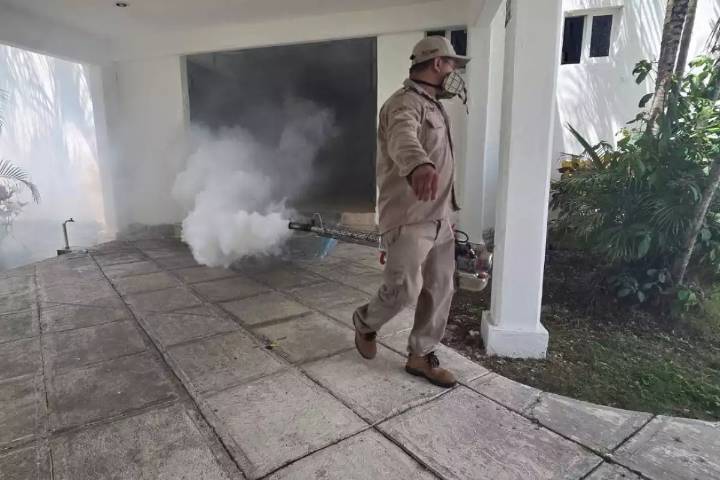 Probables casos de dengue aumentan en Cozumel durante 2025