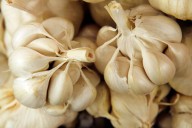 The Maine Garlic Festival returns for 7th year