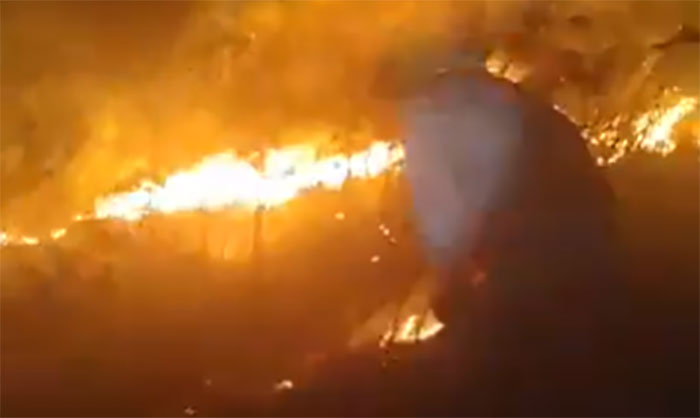 Bomberos combaten incendio forestal en sector de El Rincón en Tegucigalpa