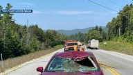 Driver unharmed after hitting moose in Twin Mountain