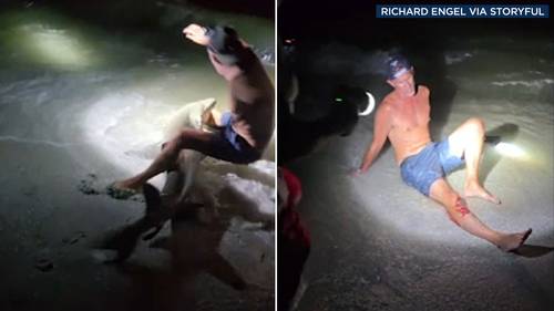 Florida man bitten while taking photo with shark