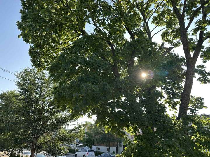 Heat warning in effect for Montreal, feeling like 40°C today