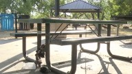 Pit bull bites teen below the belt, prompting emergency room visit