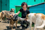 Pet Adoptions Available Without Fees Countywide This Weekend