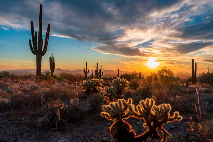 The stress-busting powers of the Arizona desert