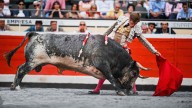 'Tapabocas', un toro de gran clase de La Quinta, logra un indulto histórico en Bilbao