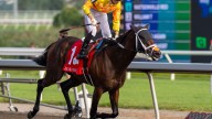 Inédito: las carreras de caballo en Reino Unido se irán a la huelga en septiembre por la subida de impuestos a las apuestas