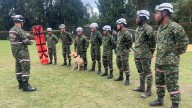 Rescatistas del Ejército también participan en la intensa búsqueda de Valeria Afanador, menor desaparecida en Cajicá, Cundinamarca