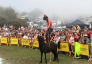 Fiesta del Asturcón 2025 en Piloña: XLV Edición de Tradición Asturiana