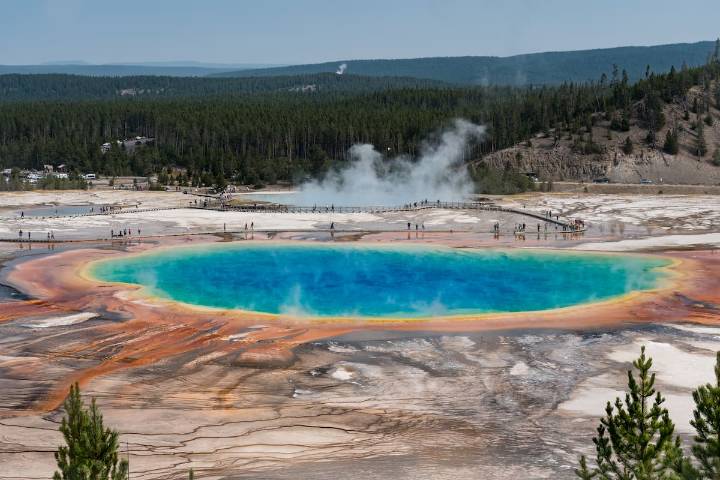 Previo a los seres vivos. Un experimento ilumina el origen de la vida y apoya la existencia de “un mundo de tioéster”