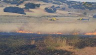 OPINIÓN | El papel imprescindible de los y las agentes medioambientales en los incendios
