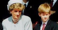Prince Harry warned over ‘enormously dangerous’ Princess Diana documentary