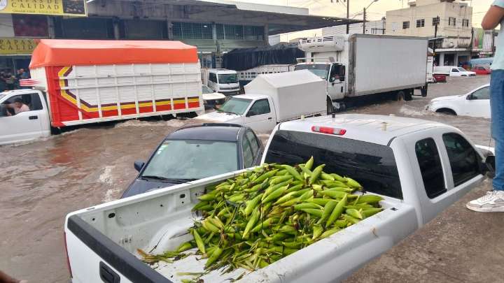 Tormenta provoca inundaciones y caos vial en Guadalajara