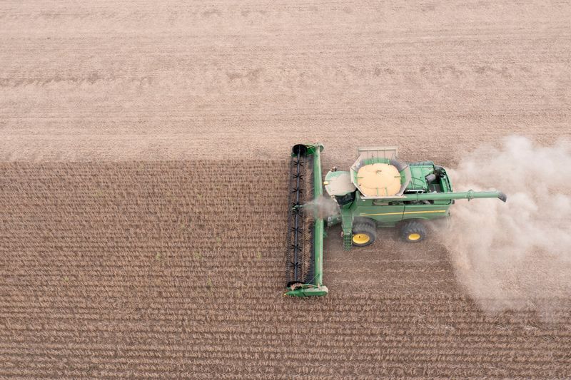 US losing out on China soybean sales as Brazil fills key supply period
